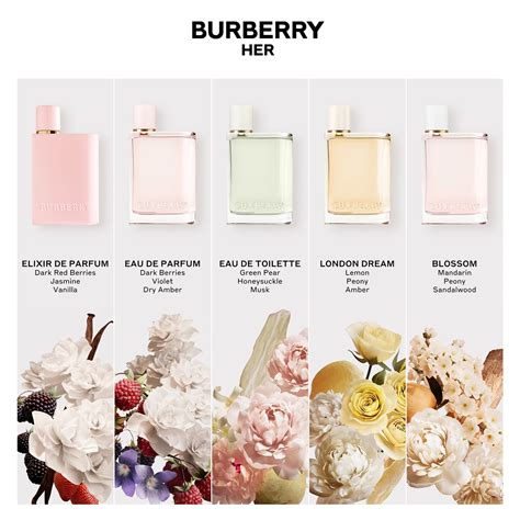 burberry her elixir notes.